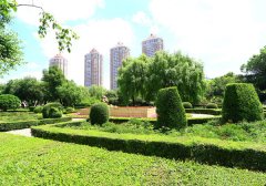 上海园林绿化养护管理相关